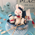 ⚓︎マリンうさぎとカモメ船長⚓︎【ネザーランド•ホワイト•赤目】