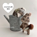 chantaka様専用 オーダーうちのこｼﾘｰｽﾞ羊毛フェルト ちびっこ着せ替えウサギ(ｷｰﾎﾙﾀﾞｰ)セット
