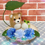 ☂️🐸柴犬ちゃんの梅雨のお散歩☂️🐸