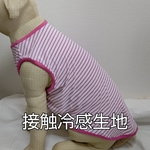 大型犬服接触冷感生地使用チェリーピンクボーダー
