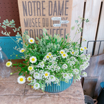 現品♡【毎年楽しめる5種類たっぷり寄せ植え】長く楽しめる可愛い宿根草ガーデニング♡カーキ系ブリキ鉢♪アイアンピックつき