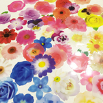 訳あり‼︎   フレーク シール 押し花 レジン 