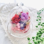 特別価格＊母の日＊結婚*ギフト＊永遠に咲く綺麗なガラスドームプリザーブドフラワー
