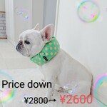 ひぇひぇNeck  ・ ドット柄【2021】