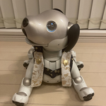 端午の節句🎏陣羽織②