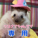 ツヨタマちゃんママ専用