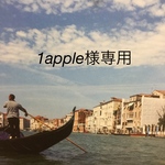 1apple様専用　カゴバック