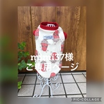 犬服　ポップコーン