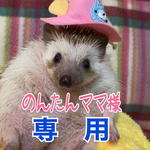 のんたんママ様専用