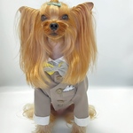 犬服オーダー★ノーカラーシャツ（ベスト付き）タキシード★