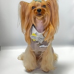 犬服オーダー★フリルシャツ＆ノースリーブタキシード★