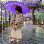 【数量限定】季節を楽しむ、紫陽花の水干セットアップ / ペンギンのおしり