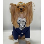 犬服オーダー★スリーピース風スタンドカラータキシード★
