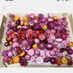 林様専用ページです☆貝細工ドライフラワー☆ドライフラワー花材