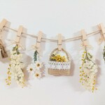 *α.mimosa.bag*ドライフラワー スワッグ ガーランド