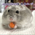 chubby0401様 専用ページ❤︎.*