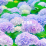 lillyuさま専用
