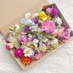 ドライフラワー花材
