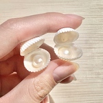 真珠のきらめき / ピアス、イヤリング