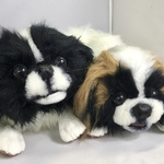 ペキニーズのお友達