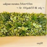 ⭐︎44yoshi33様専用⭐︎ ウォールグリーンモンステラ　34cm×69cm