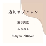 発送オプション