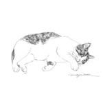 ペンで描いたようなペットイラスト【デジタル】