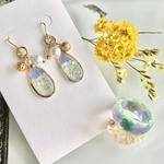 ピアス&クリアリングセット🐚