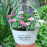 生きている植物「ポップな寄せ植え」吊り手・白