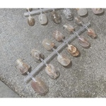 nail chip assort.