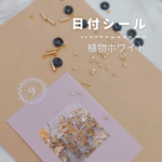 日付シール┊︎Plants 𖡼 植物系【ホワイト】