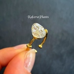 〖再販〗スカル アミュレットリング(クリスタルカラー)/KakeraPlants