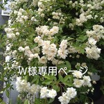 W様専用ページ