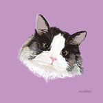 OPEN記念価格 nukkoのイラスト　ーFACEー