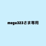 megu323様専用　羊毛フェルト　ポメラニアン のフラワーリース