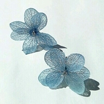 大人のブルー アジサイのピアス・イヤリング～ old blue 
