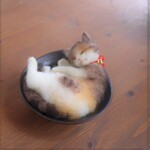 さら猫　安倍川　Φ12.5cm