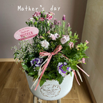 【母の日ギフト】 ❤︎ 寄せ植え カーネーション♡フレンチラベンダー&八重咲きペチュニア ブリキ鉢入り