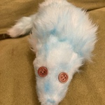 ロンロン(青個体)