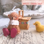 プチteddyくまくん🧸テディブラウン