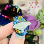青に煌めくオオミズアオの小さなブローチ　蛾　虫
