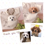 kei-titi様専用♡毛糸わんこ『うちの子オーダー』(mii wool&wool)