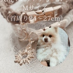 犬用チョーカー　Mサイズ　newデザイン‼︎