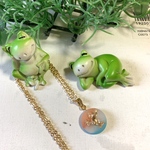 朝陽とカエル