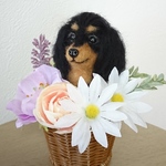 羊毛フェルト  犬  ミニチュアダックスフント〈レッド〉