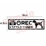 ボーダーテリア シルエット ドライブレコーダー ステッカー 犬 車 リアガラス 可愛い