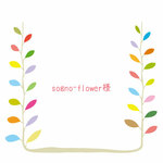 【sogno-flower様専用】