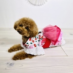 浴衣　ゆかた　3号　犬用浴衣　犬服　犬用服　夏服　お出かけ　可愛い浴衣　さくらんぼ　犬　猫　ランマルシェ
