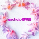 gachujp様専用です