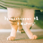 3grasshopper 様専用ページ